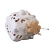 Contenitore porcellana traforato c-sapone fiore