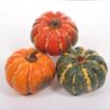 Zucca per decorazione sintetica