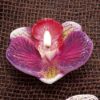 Candela galleggiante orchidea