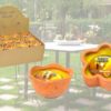 Set 6 Vasetti In Coccio Citronella Fiore