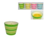 Citronella in vasetto ceramica colorata a righe