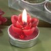 Set 6 candele segnaposto pianta grassa