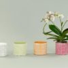 Set 3 Portavaso Cilindrico In Ceramica con Decorazione Greca