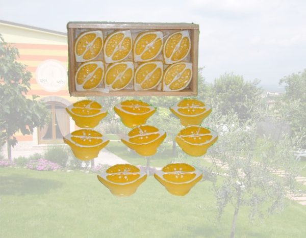 Set 3 Confezioni Da 8 Pezzi Candele Alla Citronella Forma Limone