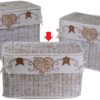 Baule Piccolo In Rattan Sbiancato Con Fodera Linea Federico
