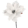Fiore Stella Di Natale Bianco E Argento