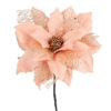 Fiore Stella Di Natale Rosa Chiaro