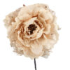 Fiore Peonia Champagne Grande
