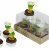 Candela t-light narciso bianco confezione 6 pz