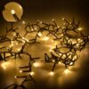 Luci mini lucciole 300 led uso esterno bianco caldo