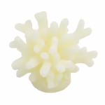 Candela mare corallo bianco