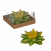 Candela a forma di pianta grassa