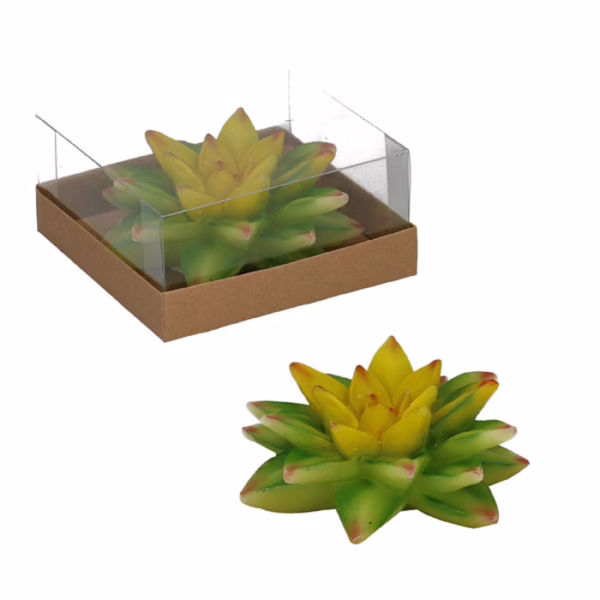 Candela a forma di pianta grassa
