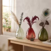 Vaso in vetro assortito 3 colori 3 pezzi